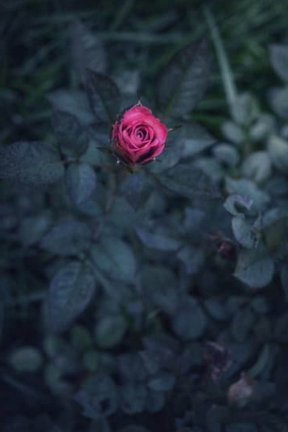 - Benefits of composting in vegetable gardening include soil enrichment, nutrient retention, and natural fertilization