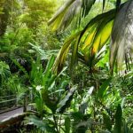 Container Vegetable Gardening Zone 6A Compact garden solutions for limited space and climate considerations