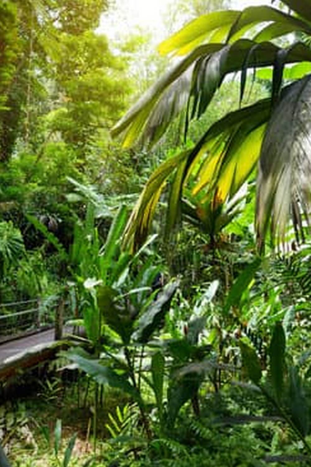 Compact garden solutions for limited space and climate considerations