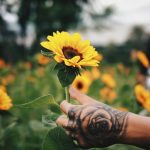 a creative and sustainable solution