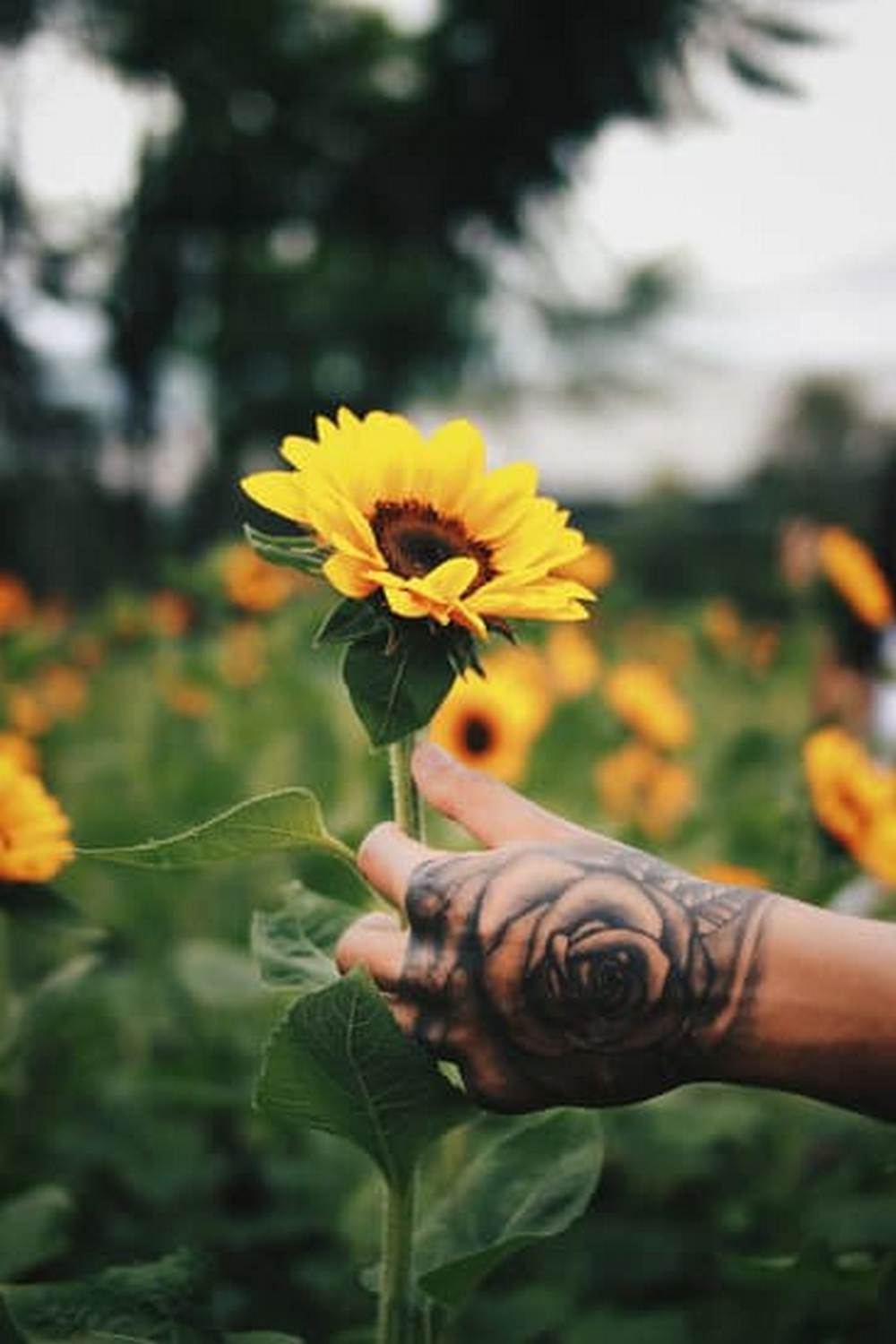 a creative and sustainable solution