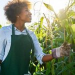 Planting tips for a bountiful harvest