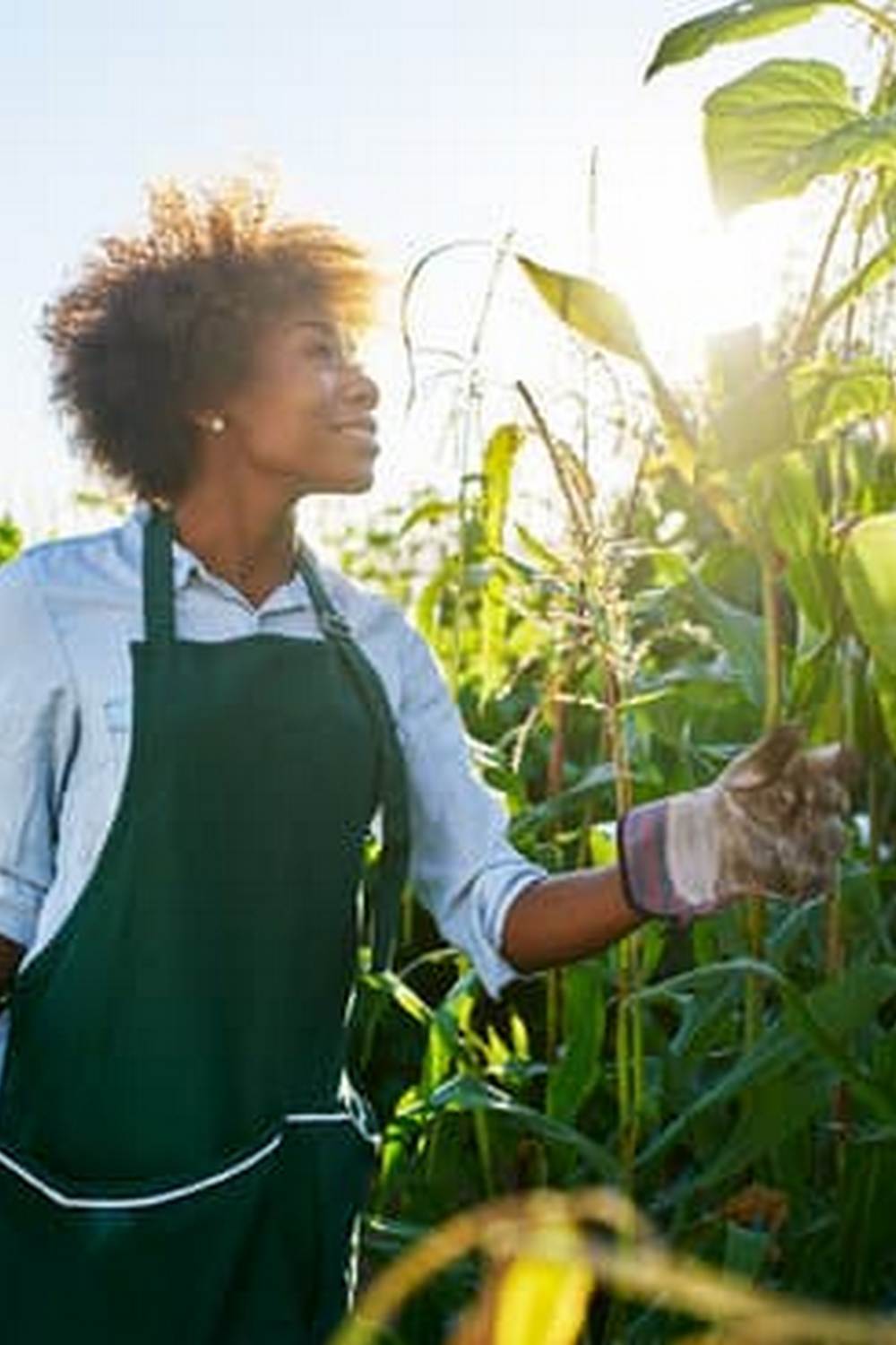 Planting tips for a bountiful harvest