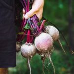 Thriving container vegetable garden in sunny Southern California