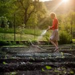 WILD GARDENS PLANTS AND VEGETABLES BIO DIVERSE DIAGRAMS
