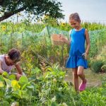 Boost soil health naturally with coffee grounds in vegetable gardens