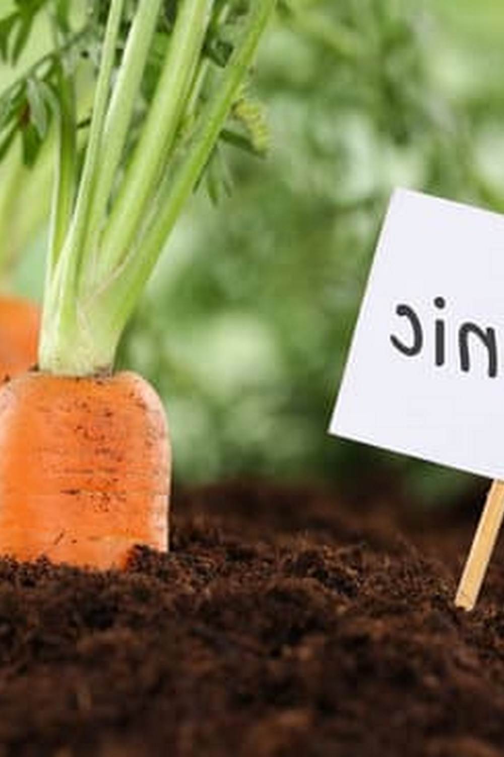 Beneficial for all types; IS PREEN GOOD FOR VEGETABLE GARDENS Explore compatibility here