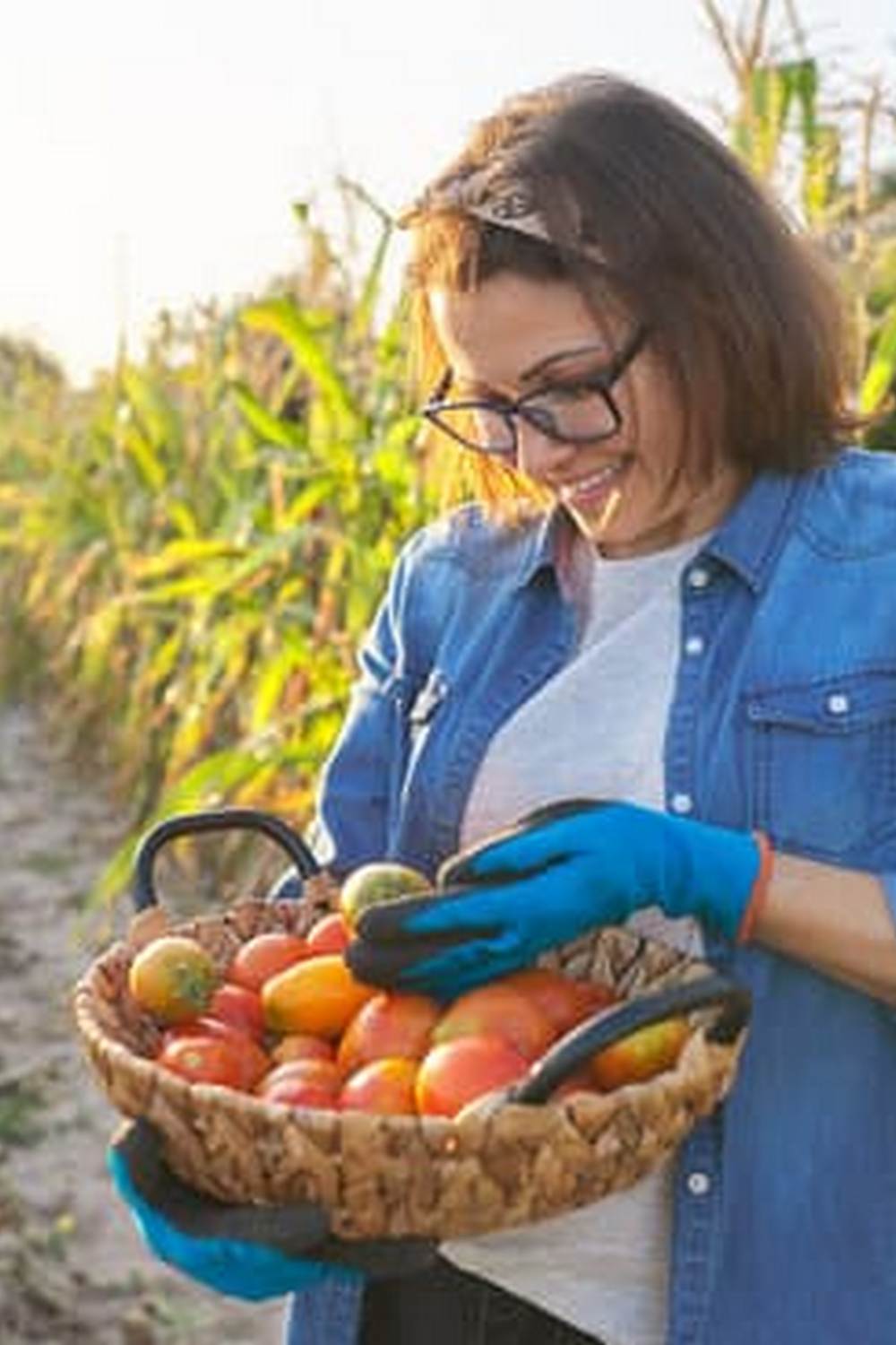 Best Watering System for Vibrant Produce Yield