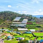 Optimize sustainable vegetable gardens with rain barrel for eco-friendly watering solution